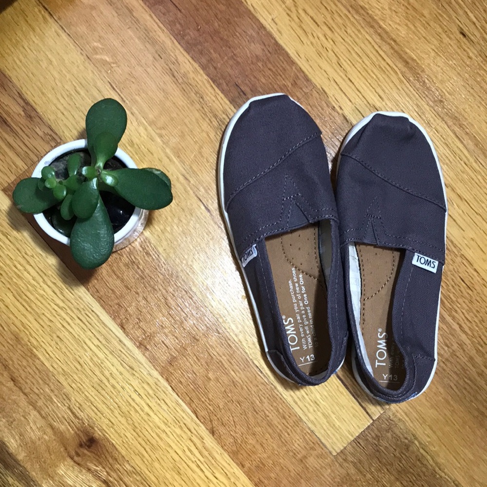 Boys Toms canvas shoes (pewter color)